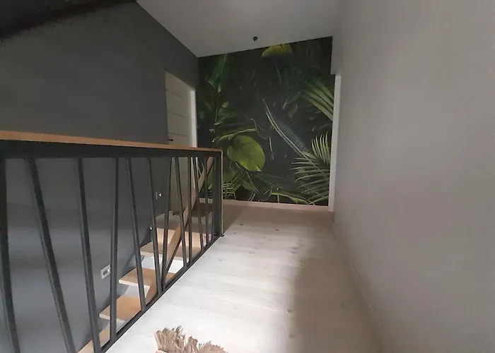 شقة Motyl بيتوم